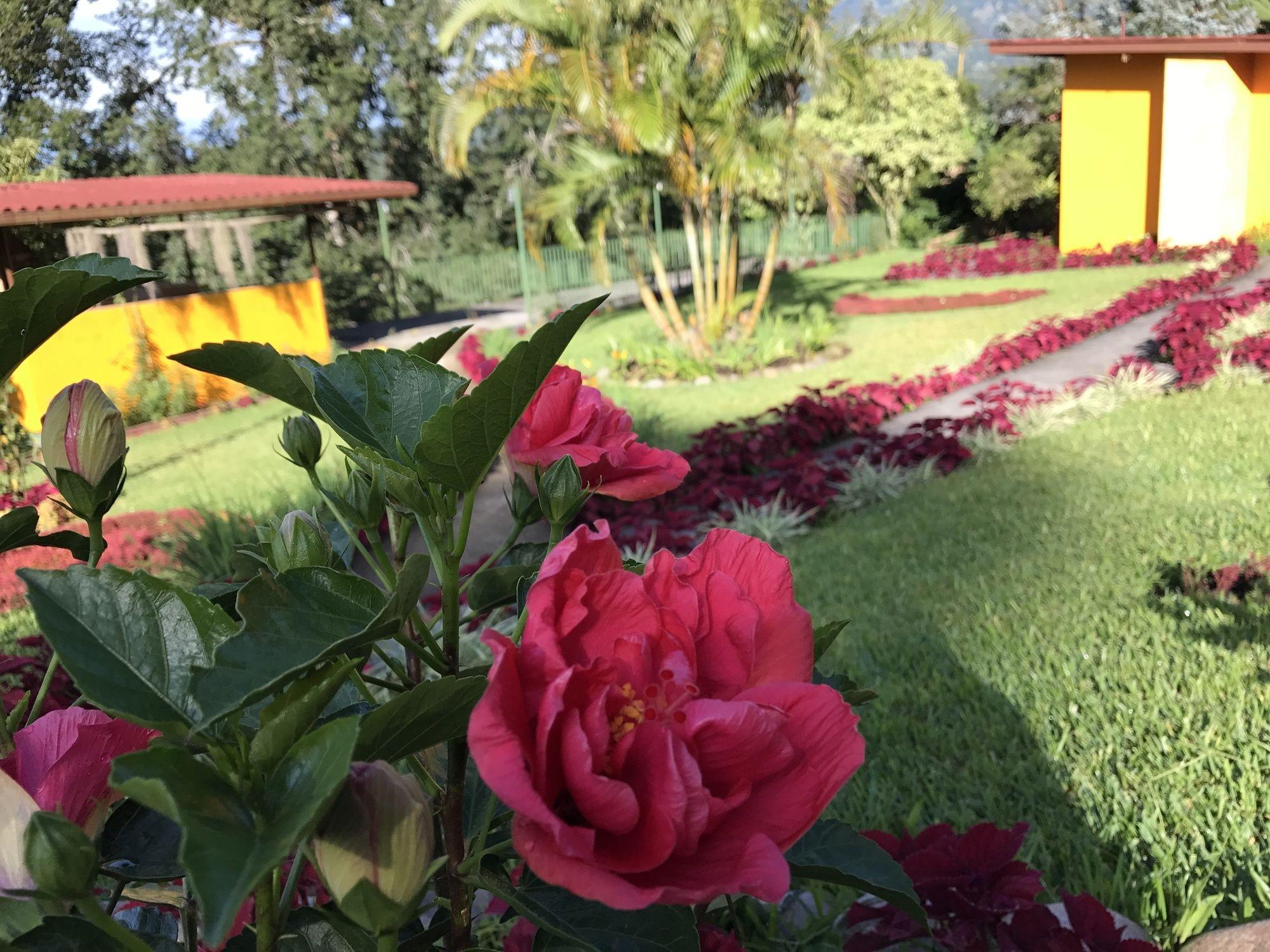 Santuario Lodge Agro-Hotel Boquete Εξωτερικό φωτογραφία
